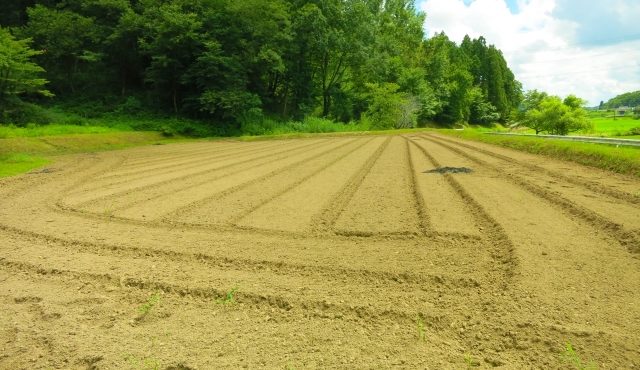 工場建設の土地探しの３つの方法と考慮すべき３つのポイントとは？