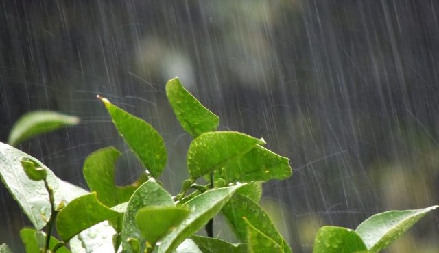工場の雨漏り、虫、結露などのトラブル対策方法をご紹介